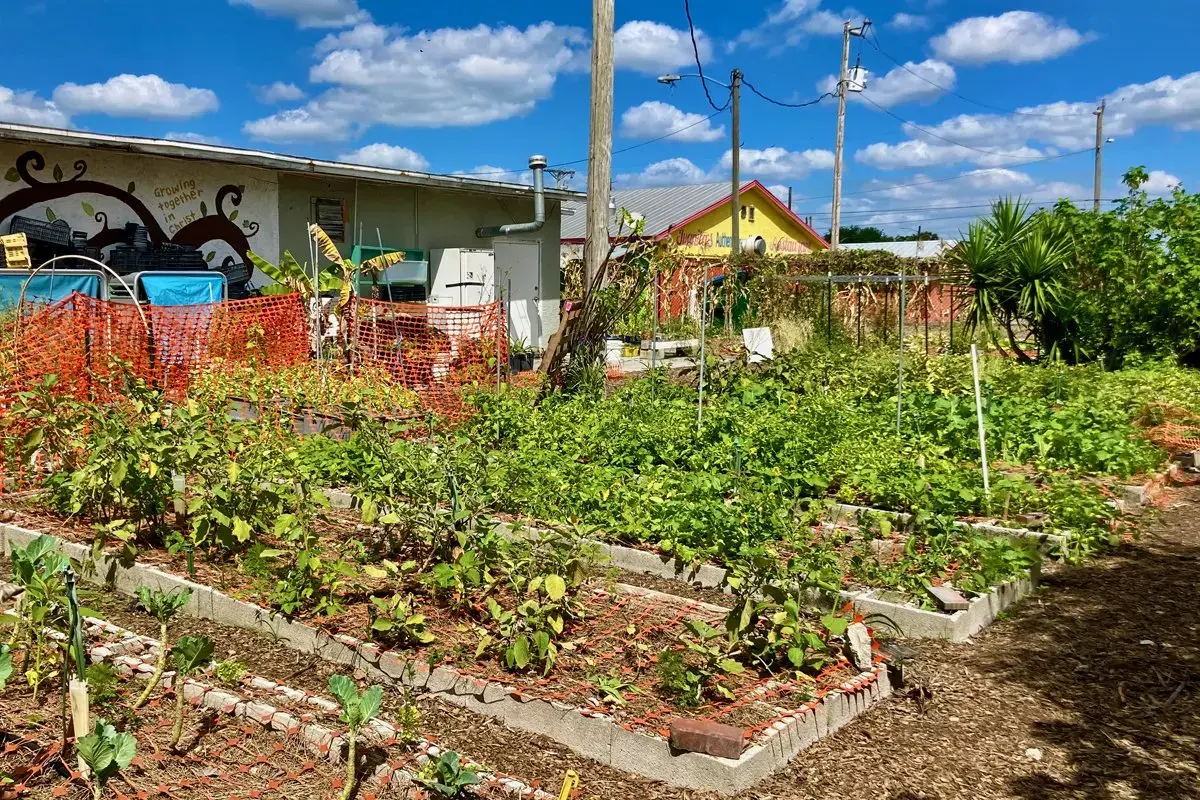 The Struggle for Food Sovereignty in Immokalee, Florida Pulitzer Center